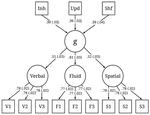 Individual Differences in Attention and Intelligence