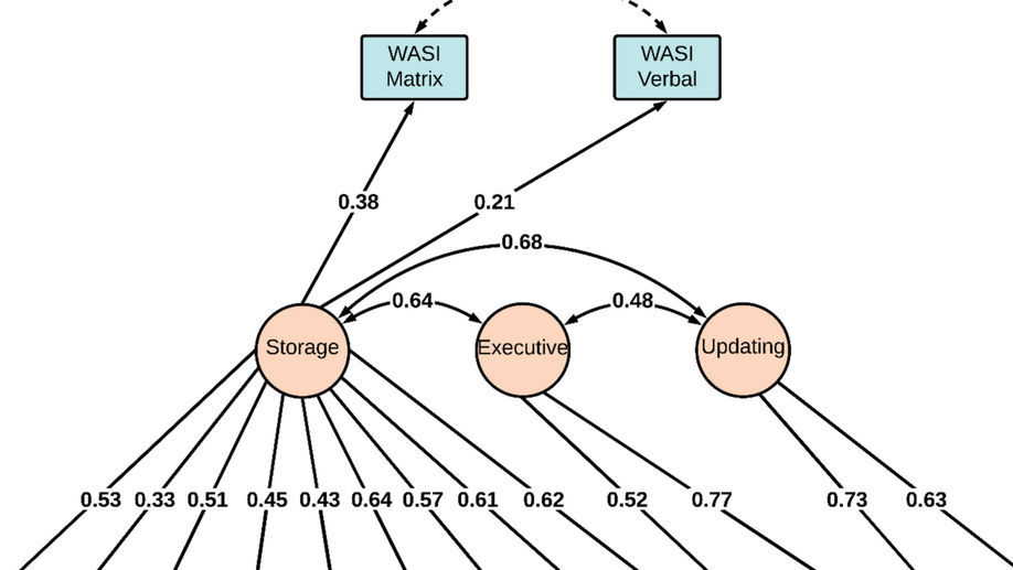 The latent structure of working memory