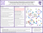 The Domain-Generality of Working Memory and Fluid Intelligence