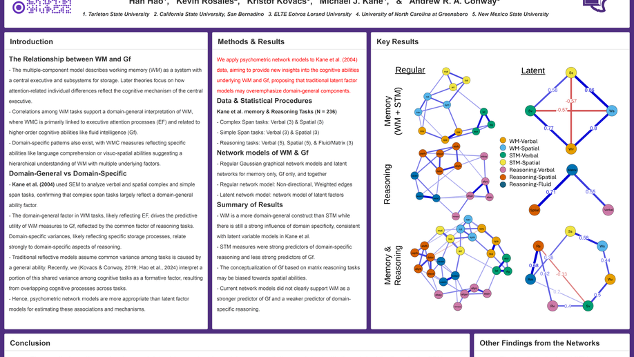 The Domain-Generality of Working Memory and Fluid Intelligence